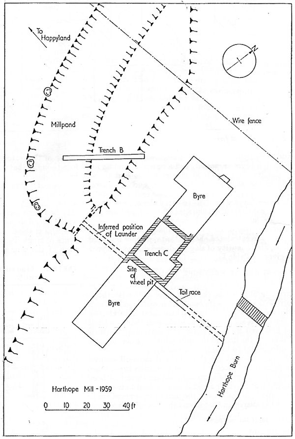 Plan of mill, millpond, and excavated areas