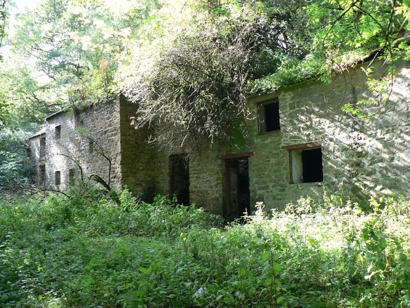 Harthope Mill