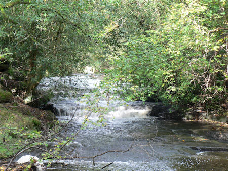 Harthope Beck above Harthope Mill